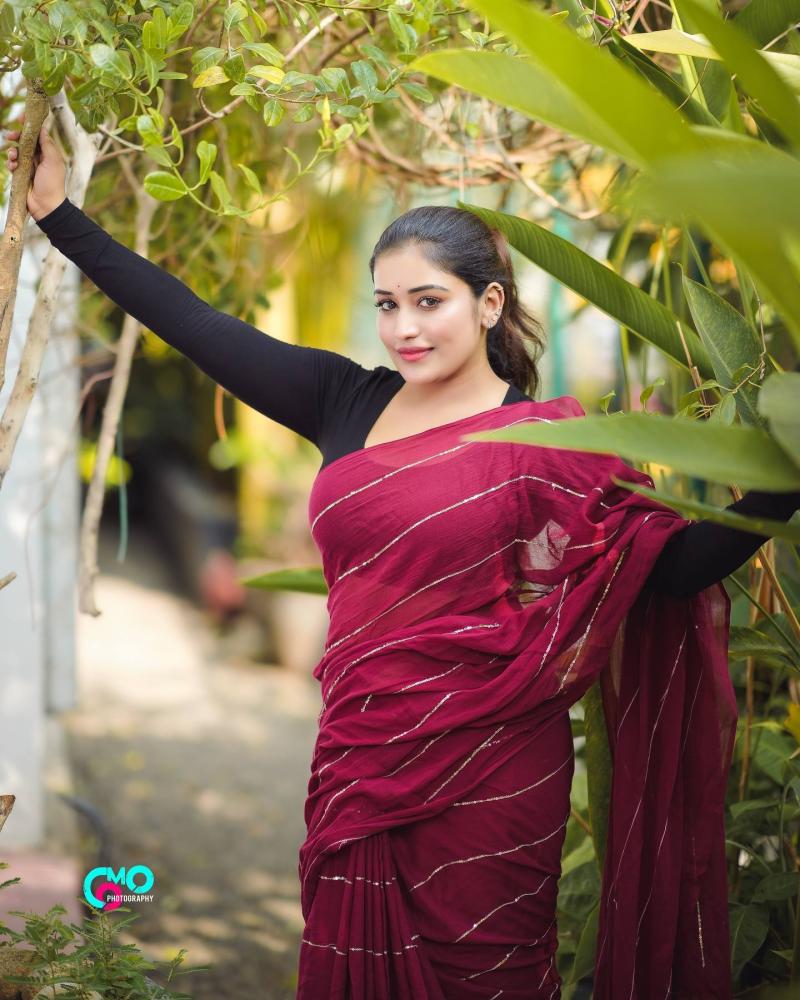 anumol-looking-glamorous-in-saree